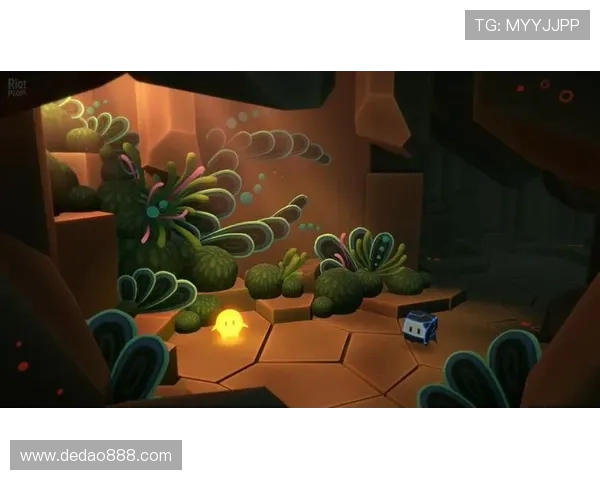 天空之下神秘人直播揭开未知面纱探索奇幻世界的旅程